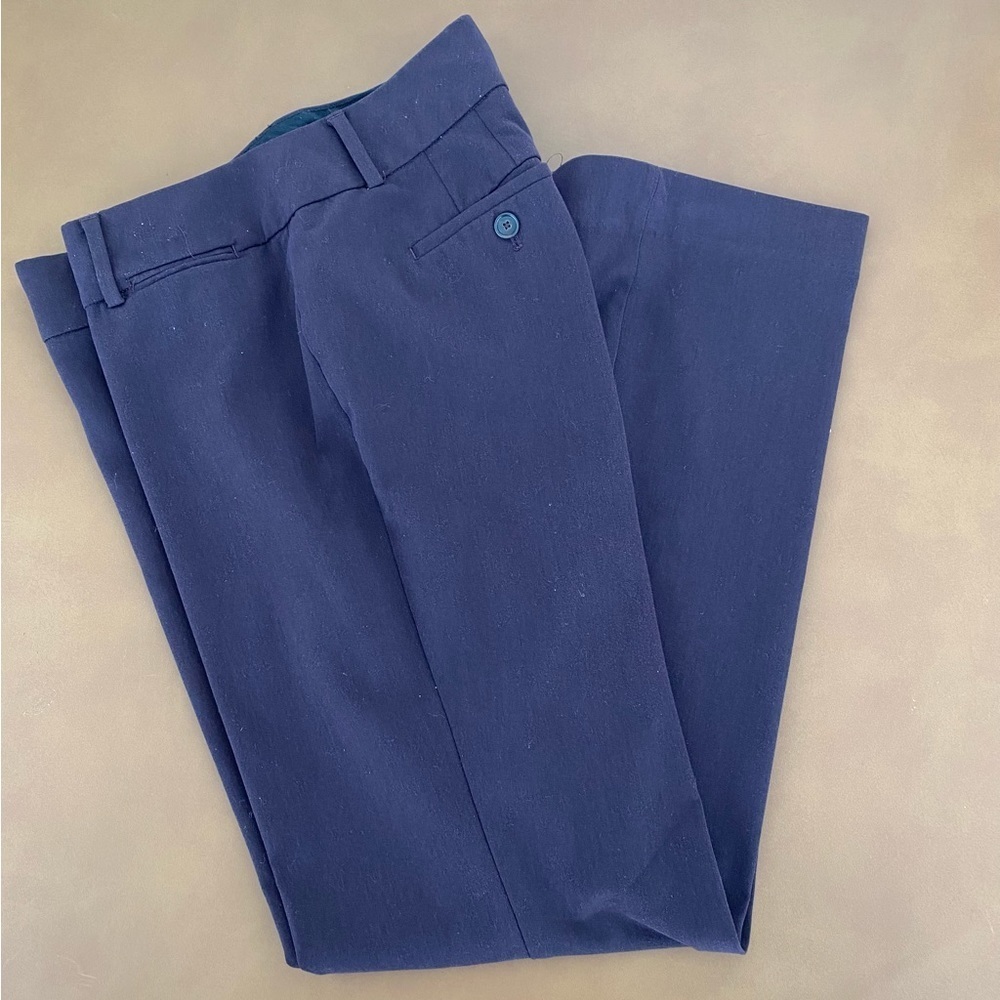 Ann Taylor Loft Purple Julie Trouser Pants Size 6